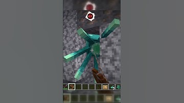 What You Probably Didn