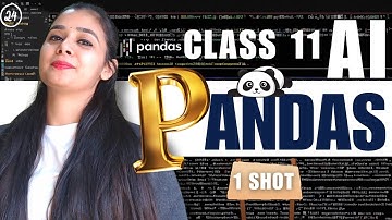 🐉Python PANDAS 🐼 | Python | Class 11 AI - 843 | Unit 3: Python Programming
