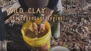 Wild Clay part 1, digging in the creek