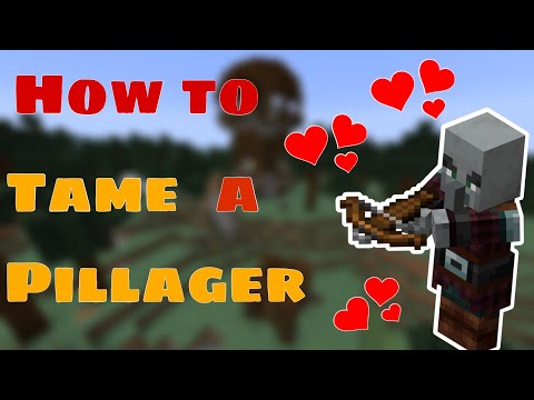 How to tame a pillager in Minecraft Java/Bedrock #shorts
