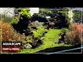 How to Build a Beautiful 90cm Aquascape (Step by Step Guide)