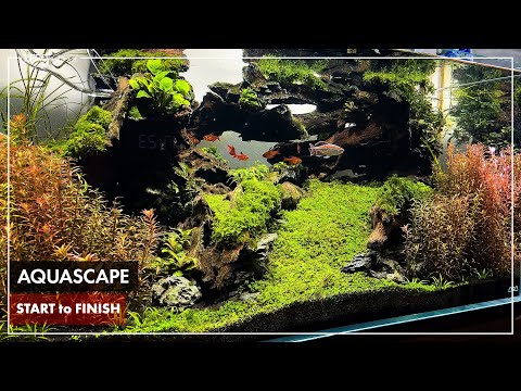 How to Build a Beautiful 90cm Aquascape (Step by Step Guide)