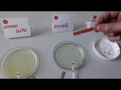 Download Asit Baz Deneyi- Acid and base experiment- Lise ve Ortaokul Deneyleri- Kurtuluş ATLI Mp3 and Video Asit Baz Deneyi- Acid and base experiment- Lise ve Ortaokul Deneyleri- Kurtuluş ATLI