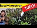 🌱 Minha HORTA NA SACADA DE CABO A RABO (como coube tanta coisa???😱)