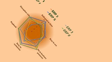 ERP Selection criteria