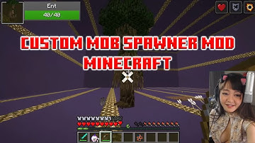 Download and install Custom Mob Spawner Mod 1.16.3/1.14.4/1.13.2/1.12.2 Minecraft