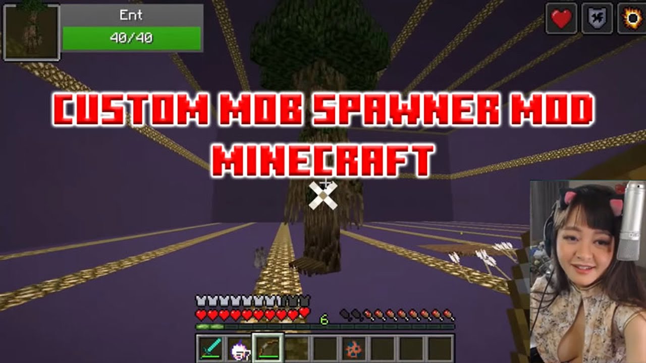 Custom Mob Spawner Mod 1 16 3 1 14 4 1 13 2 1 12 2 Download And Install Wminecraft Net