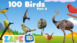 Birdsong Serenade Part 4: Feathers in Harmony | Birds Song | Nursery Rhymes | Unique birds | Zape TV