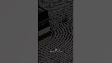 الحج أشهر معلومات - #وديع_اليمني - #سورة_البقرة #حالة_واتس