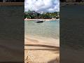 Шри-Ланка. Рак-отшельник на дереве и шикарный Пляж. Шри Ланка за 58 тысяч рублей. @tutsi-dieti