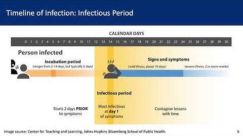 Contact Tracing for COVID-19 Prevention