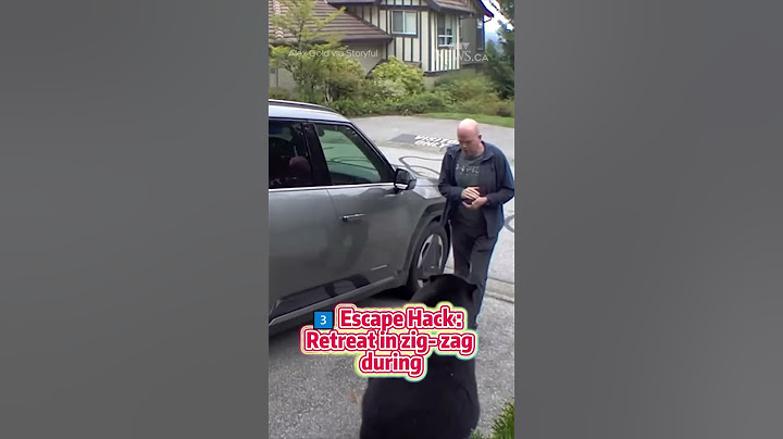 B.C. man has very close encounter with black bear