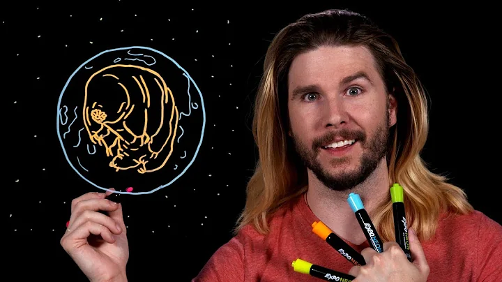 We Crashed Water Bears on the Moon | Because Science Live!