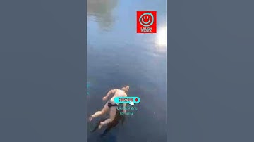 Epic fail Faceplant ]Shorts laugh mania