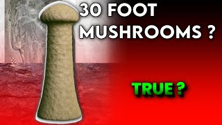 The 30-Foot Mushroom That Ruled Ancient Earth ( TRUE ? ) 