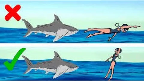 13 Tips on How to Survive Wild Animal Attacks