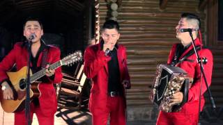 Video thumbnail of "Corrido De El Zultan - Los Cedreños (En Vivo El Fuerte Sinaloa) (2016)"
