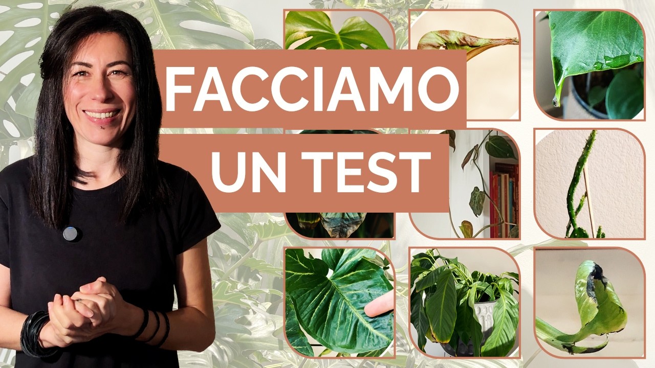 Conosci il linguaggio segreto delle piante?🌿 Facciamo un test