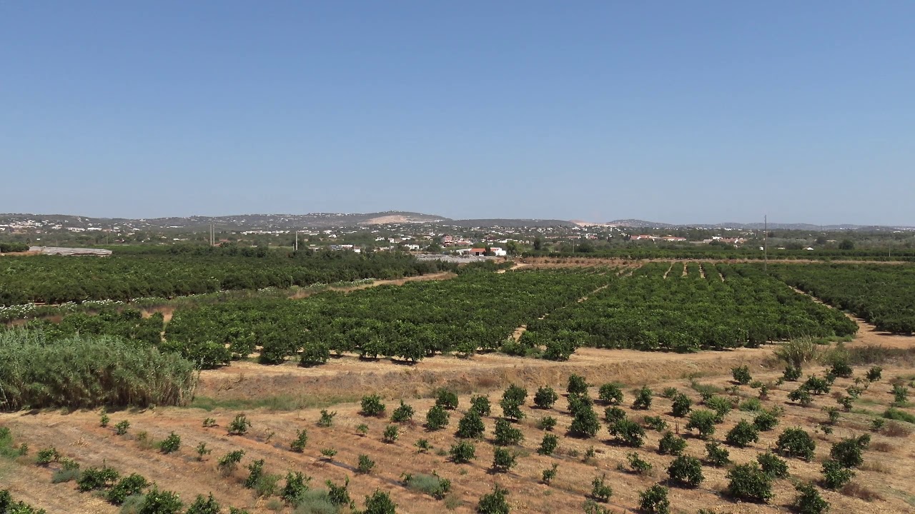 Orange Farm in Algarve, Portugal YouTube