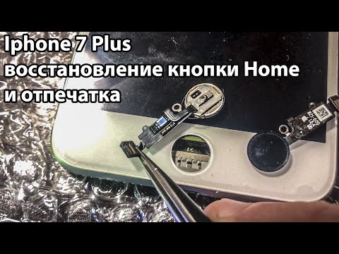 Iphone 7 plus