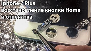 Iphone 7 plus не удалось активировать touch id | восстановление кнопки Home и отпечатка