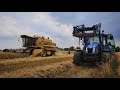 ☆Żniwa 2022☆ Pszenica Pod Kosę! New Holland W Akcji! ☆AgroTeam-Klonów☆