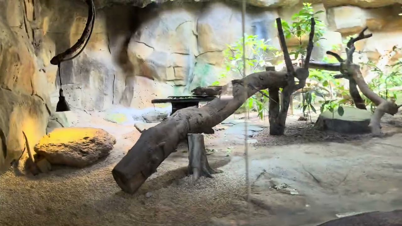 ngày 8 tháng 1, 2026