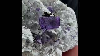 Video preview: Glassy Purple Fluorite — Yaogangxian Mine, Hunan, China | Natural Mineral Specimen