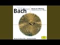 Miniature de la vidéo de la chanson Musical Offering, Bwv 1079: Viii. Canon Perpetuus Super Thema Regium