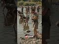 300 Survive (Bible Mockumentary)