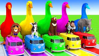5 Giant Duck Cartoon,Cow,Elephant,Tiger,Dinosaur,Paint Wild Animals Crossing Fountain Animation #603