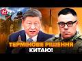 ⚡БЕРЕЗОВЕЦЬ: Сі ВІДДАВ НАКАЗ армії! ЕКСТРЕНЕ рішення щодо ЯДЕРКИ. Весь світ У ШОЦІ.Пентагон ВІДПОВІВ