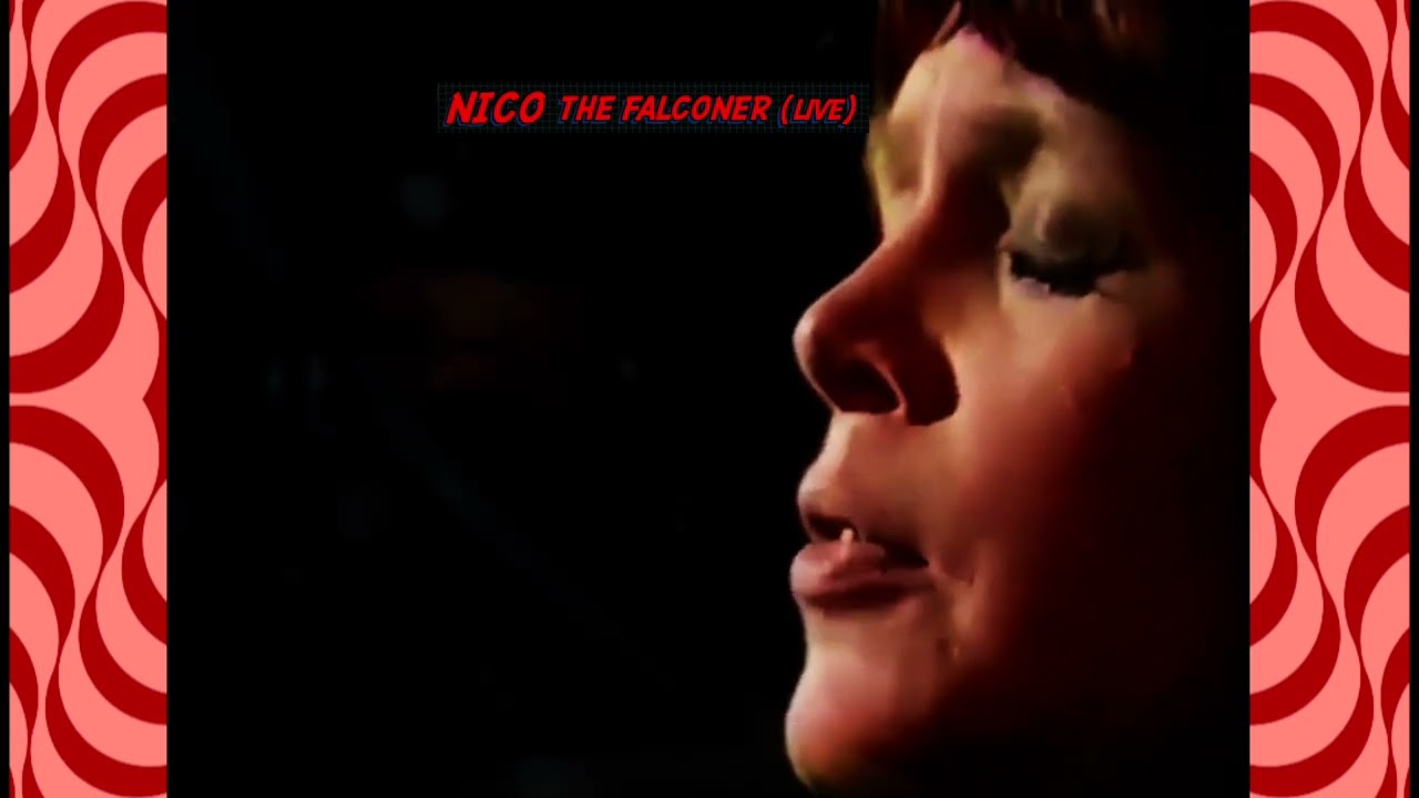 NICO / THE FALCONER (live)