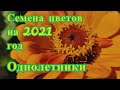 Обзор семян цветов на 2021 год. Однолетники.