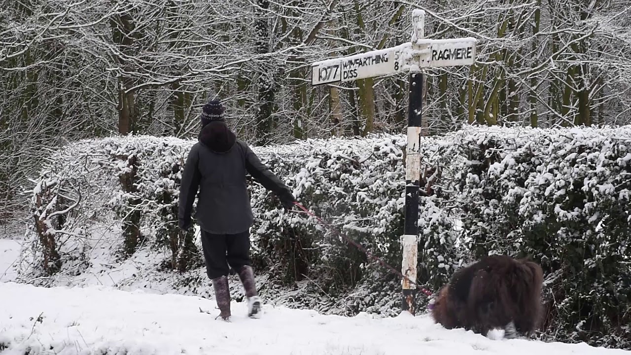 storm emma 2019 Beast from the East brings beautiful snowy scenes to Norfolk