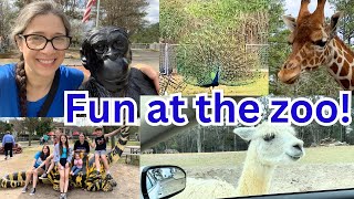 Day in My Life Vlog Day at the Zoo! (They are trying to get in my car!)
