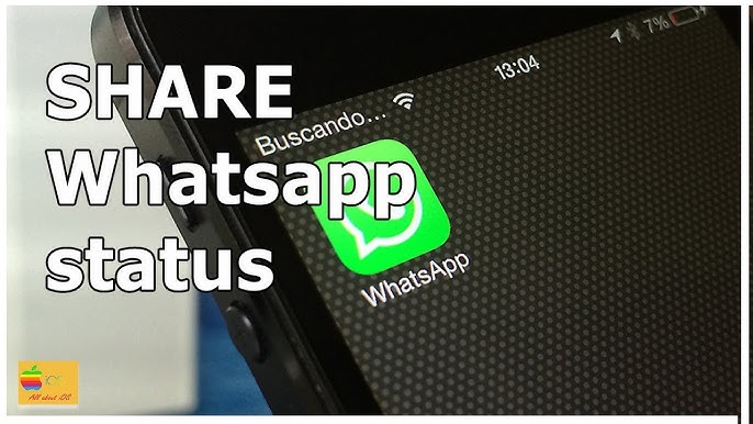Mastering Whatsapp Status Privacy A Guide 2024