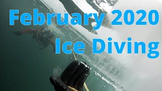 Ice Diving Feb 2020