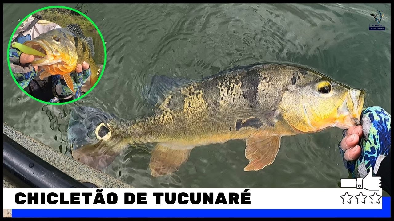 O PEIXE SÓ QUERIA SABER DE SILICONE NO CORUMBÁ IV #pescaria