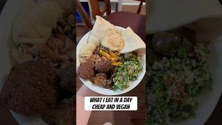 what I eat in a day as a vegan on a budget 💸 🌱