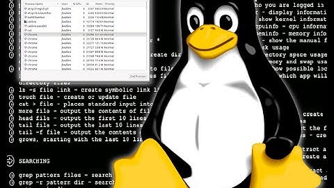 Linux Administration - Essential File Management (PWD,LS,CD,LESS...)  Chapter 4