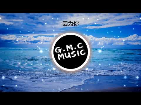 【抖音热歌】因为你-OneCandy / 张叶蕾 / Aou【完整版】