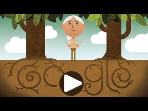 Earth Day Google doodle delivers hopeful message from Dr. Jane Goodall