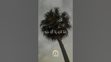 إنما أمره إذا أراد شيئا أن يقول له كن فيكون | سورة يس | القارئ أحمد بن طالب