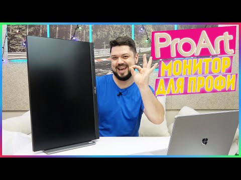 Купил профессиональный монитор Asus ProArt PA248QV есть ли смысл?