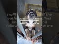 SALLY – JUST A BABY, SCHEDULED FOR EUTHANASIA 🚨Sally is just a #usa #canada #rescue #london #uk