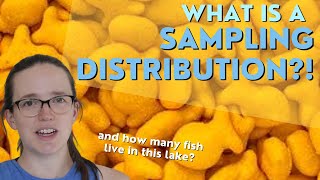 What is a Sampling Distribution?! - Stats Express