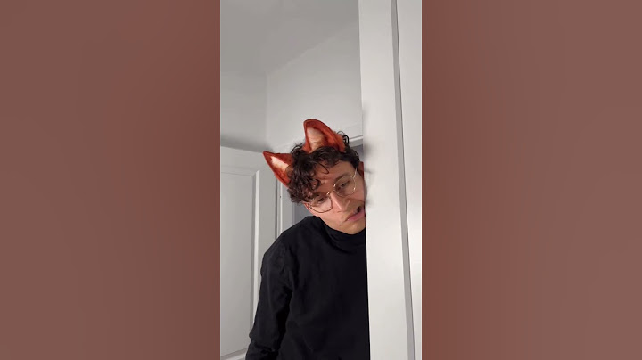 POV: twój kot