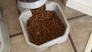 Hill's i/d Low Fat Digestive Care Dog Food Review
