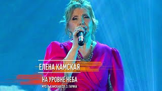 Елена Камская - На уровне неба